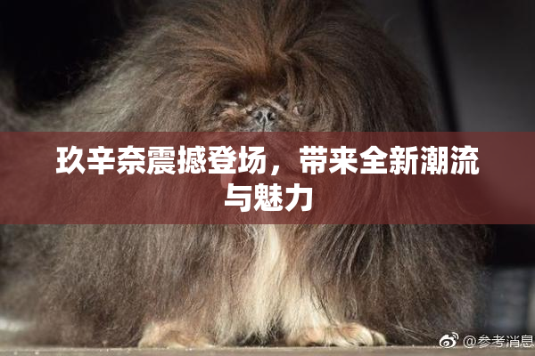 玖辛奈震撼登场，带来全新潮流与魅力
