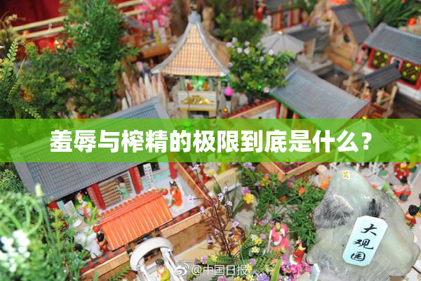 羞辱与榨精的极限到底是什么？