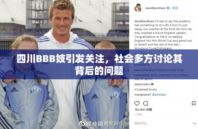 四川BBB妓引发关注，社会多方讨论其背后的问题