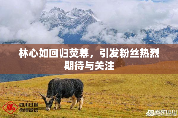 林心如回归荧幕，引发粉丝热烈期待与关注