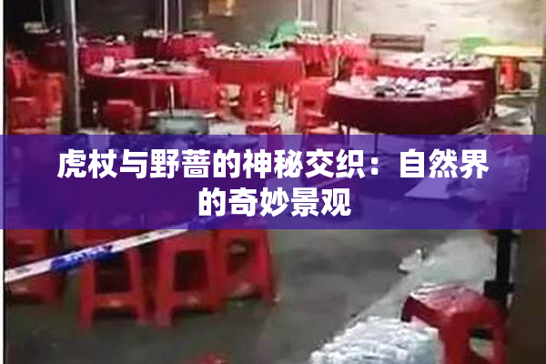 虎杖与野蔷的神秘交织：自然界的奇妙景观