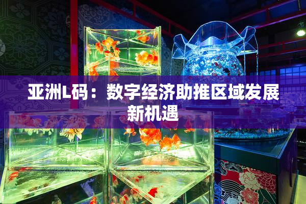 亚洲L码：数字经济助推区域发展新机遇