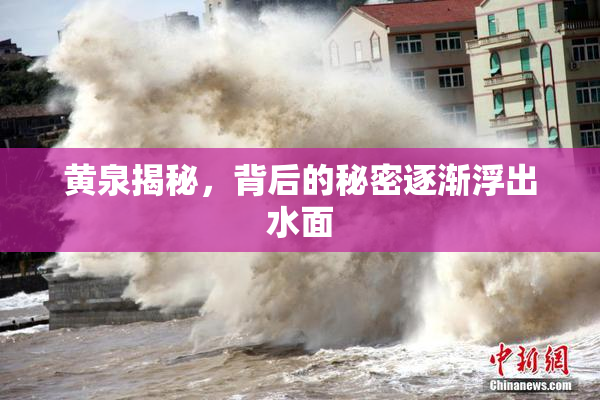 黄泉揭秘，背后的秘密逐渐浮出水面