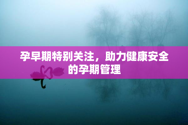 孕早期特别关注，助力健康安全的孕期管理