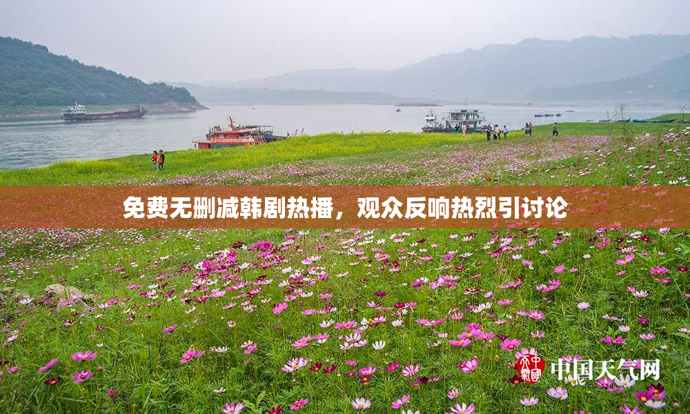 免费无删减韩剧热播，观众反响热烈引讨论