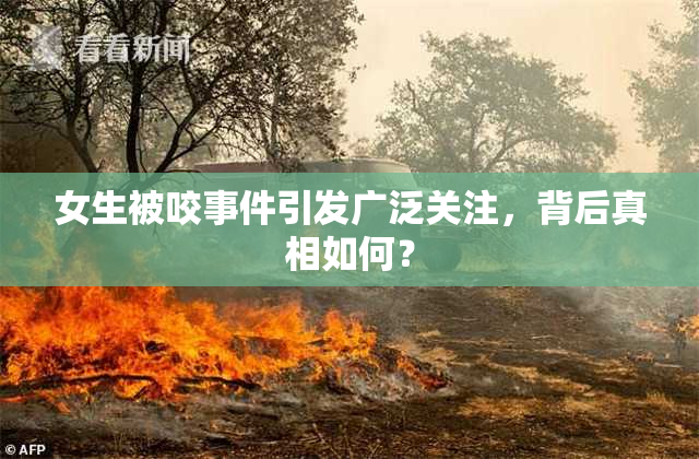 女生被咬事件引发广泛关注，背后真相如何？