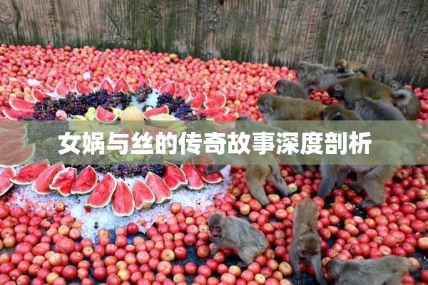 女娲与丝的传奇故事深度剖析