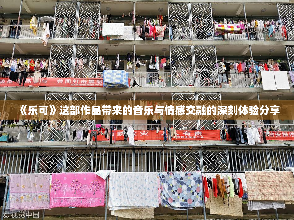 《乐可》这部作品带来的音乐与情感交融的深刻体验分享