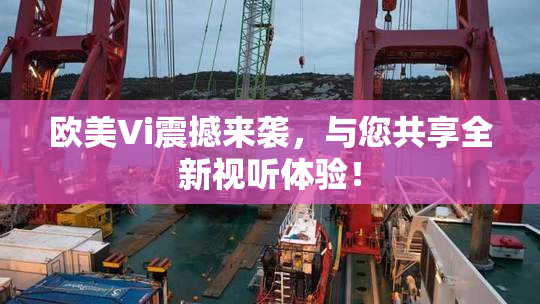 欧美Vi震撼来袭，与您共享全新视听体验！