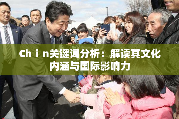 Chⅰn关键词分析：解读其文化内涵与国际影响力