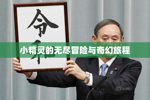 小精灵的无尽冒险与奇幻旅程