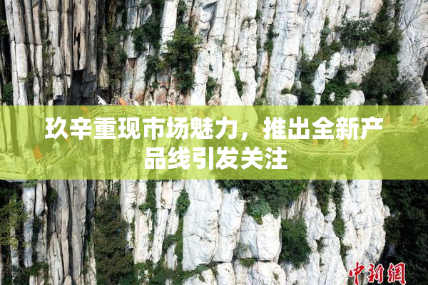 玖辛重现市场魅力，推出全新产品线引发关注
