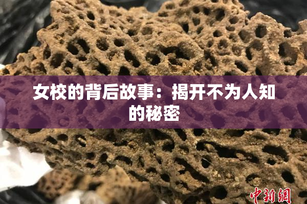 女校的背后故事：揭开不为人知的秘密