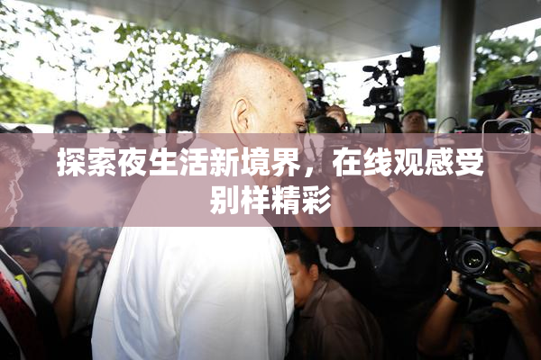 探索夜生活新境界，在线观感受别样精彩