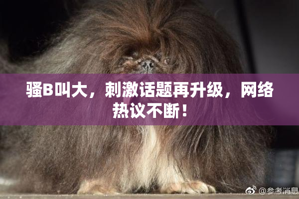 骚B叫大，刺激话题再升级，网络热议不断！