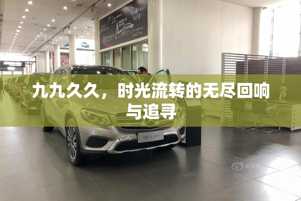 九九久久，时光流转的无尽回响与追寻