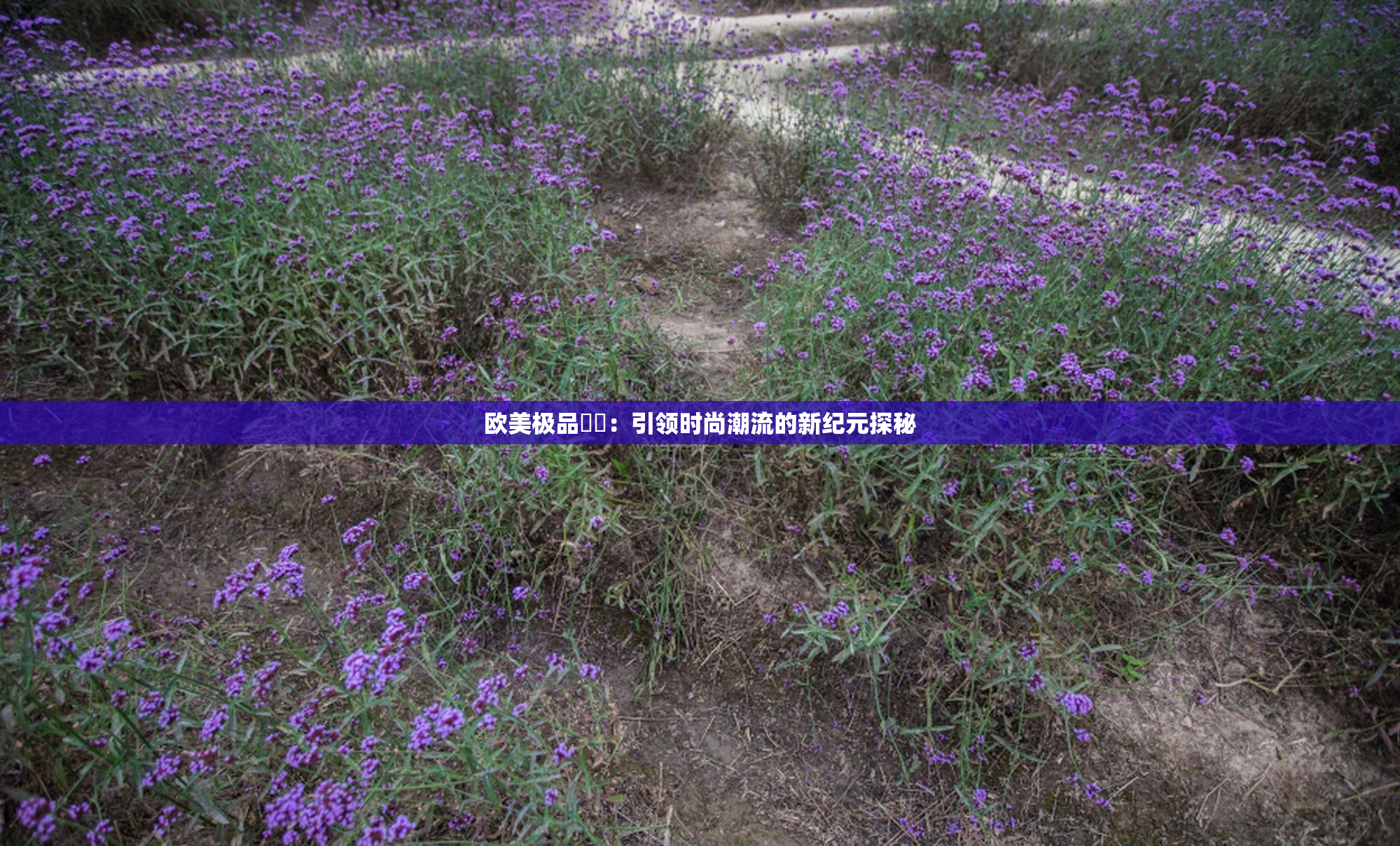 欧美极品❌‌：引领时尚潮流的新纪元探秘