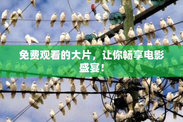 免费观看的大片，让你畅享电影盛宴！