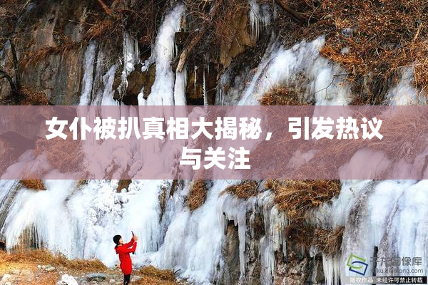 女仆被扒真相大揭秘，引发热议与关注