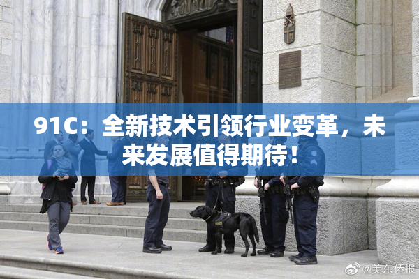 91C：全新技术引领行业变革，未来发展值得期待！