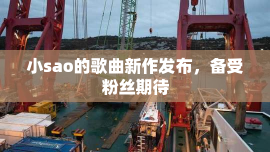 小sao的歌曲新作发布，备受粉丝期待