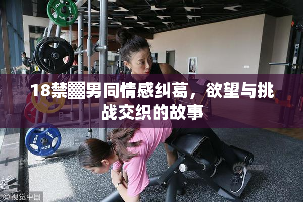 18禁▓男同情感纠葛，欲望与挑战交织的故事