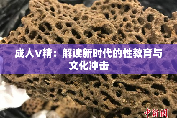 成人V精：解读新时代的性教育与文化冲击