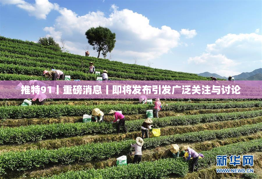 推特91丨重磅消息丨即将发布引发广泛关注与讨论
