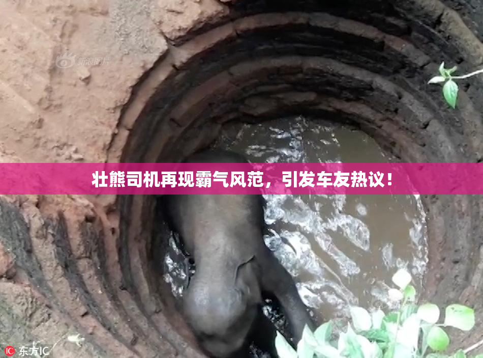 壮熊司机再现霸气风范，引发车友热议！