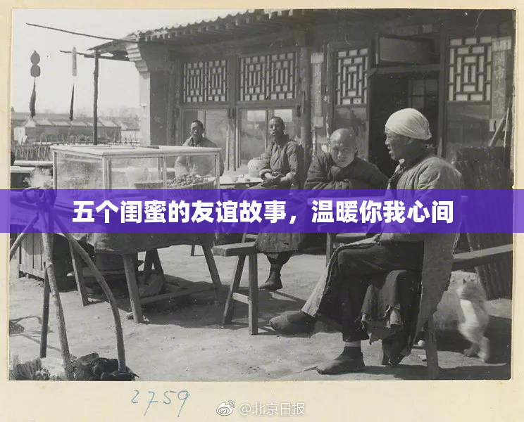 五个闺蜜的友谊故事，温暖你我心间