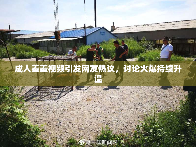 成人羞羞视频引发网友热议，讨论火爆持续升温