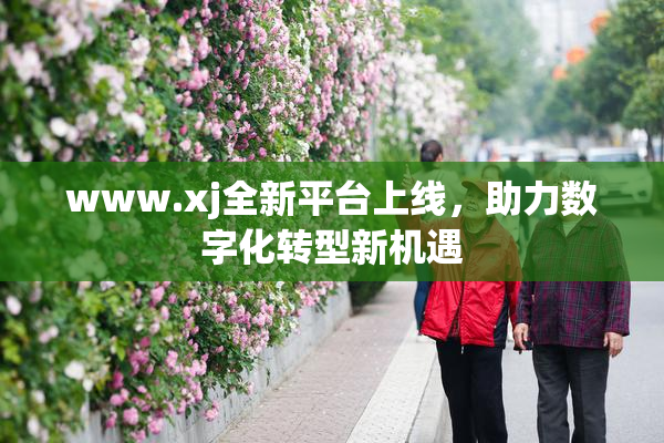 www.xj全新平台上线，助力数字化转型新机遇