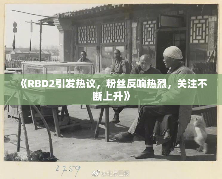 《RBD2引发热议，粉丝反响热烈，关注不断上升》