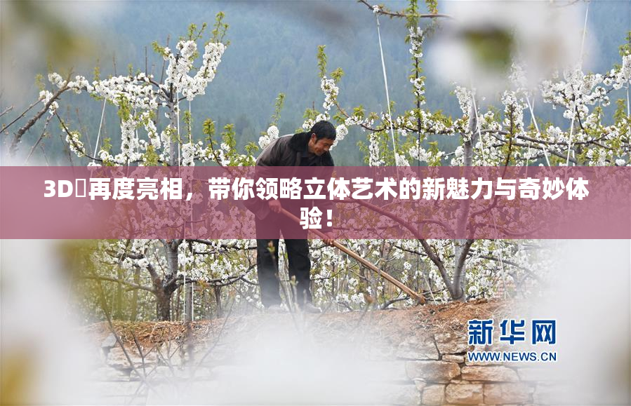 3D姉再度亮相，带你领略立体艺术的新魅力与奇妙体验！
