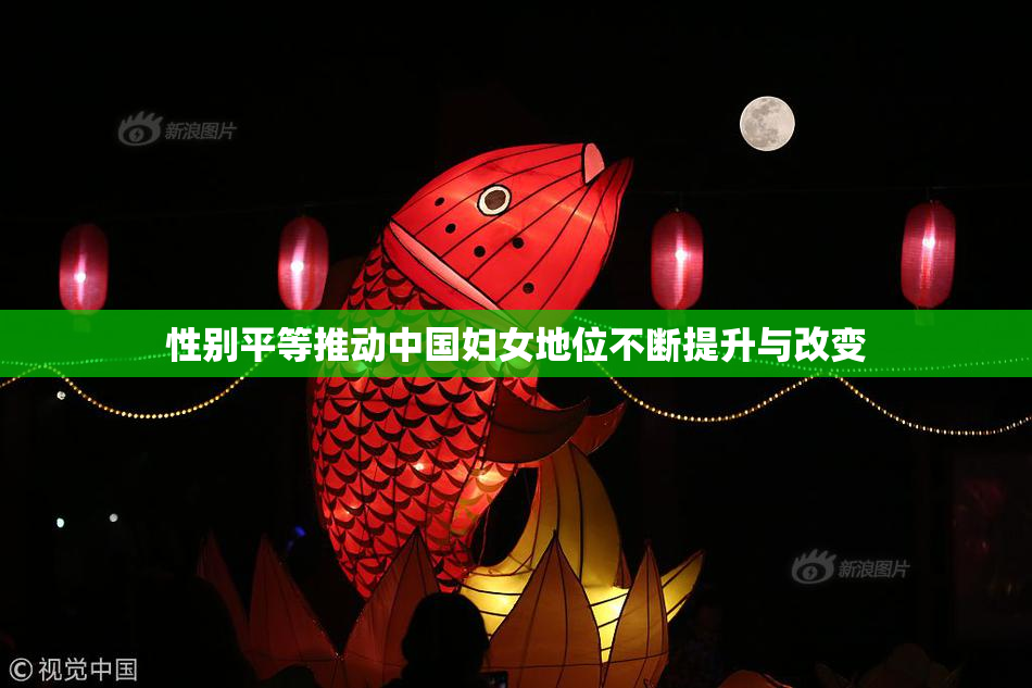 性别平等推动中国妇女地位不断提升与改变