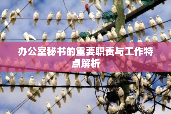 办公室秘书的重要职责与工作特点解析