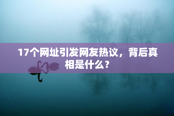 17个网址引发网友热议，背后真相是什么？