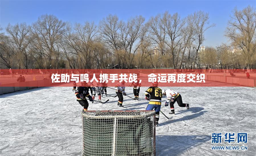 佐助与鸣人携手共战，命运再度交织