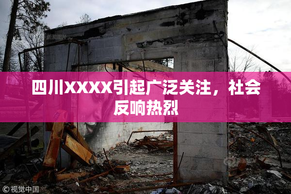 四川XXXX引起广泛关注，社会反响热烈