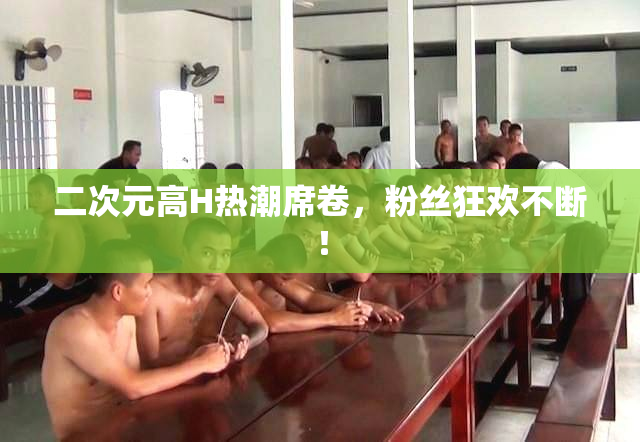 二次元高H热潮席卷，粉丝狂欢不断！