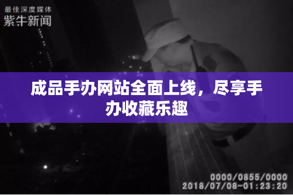 成品手办网站全面上线，尽享手办收藏乐趣