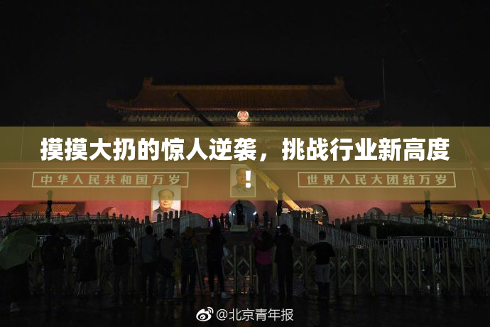 摸摸大扔的惊人逆袭，挑战行业新高度！