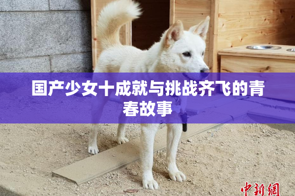国产少女十成就与挑战齐飞的青春故事