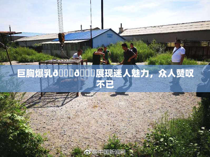 巨胸爆乳🔞🔞展现迷人魅力，众人赞叹不已