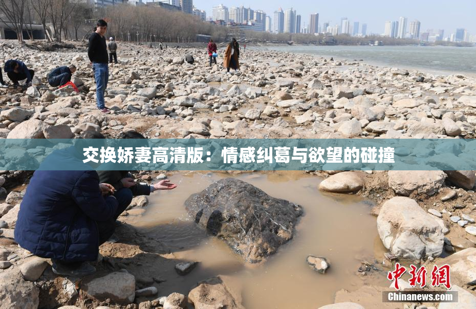 交换娇妻高清版：情感纠葛与欲望的碰撞