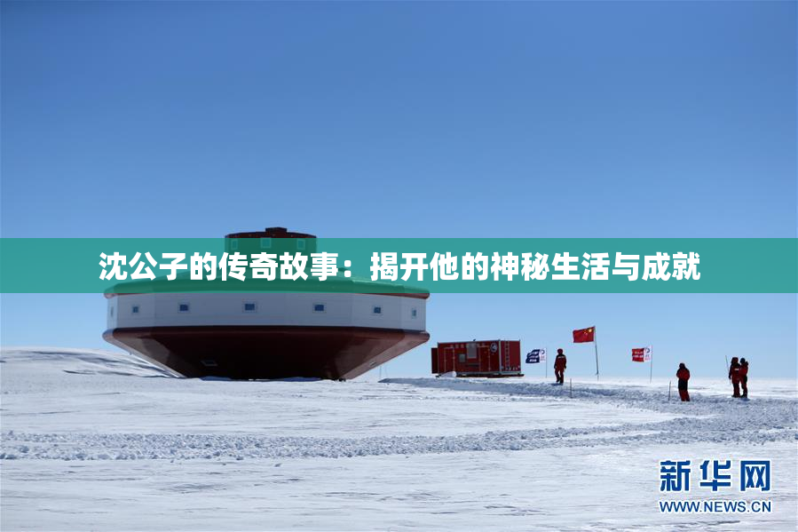 沈公子的传奇故事：揭开他的神秘生活与成就