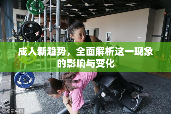 成人新趋势，全面解析这一现象的影响与变化