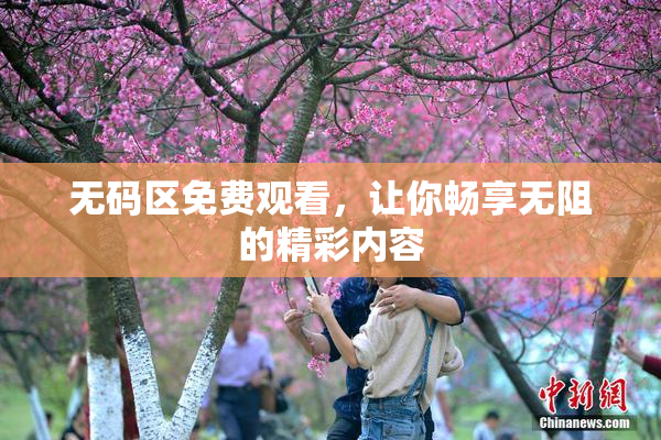 无码区免费观看，让你畅享无阻的精彩内容