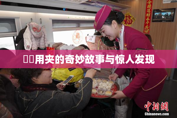 妺妺用夹的奇妙故事与惊人发现