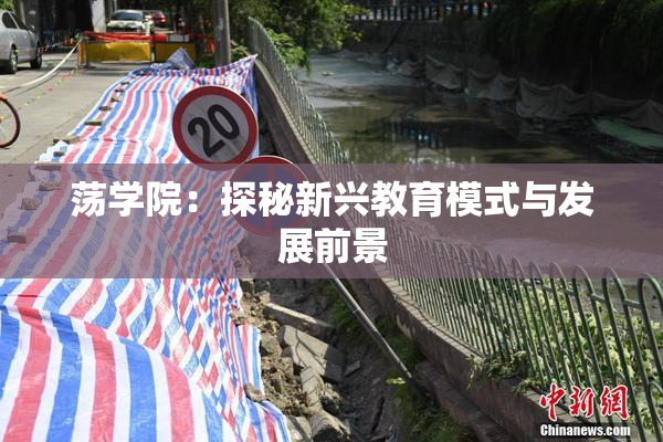 荡学院：探秘新兴教育模式与发展前景